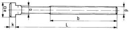 Śruba do wpustów teowych (komplet) DIN787 M14x16x160mm AMF